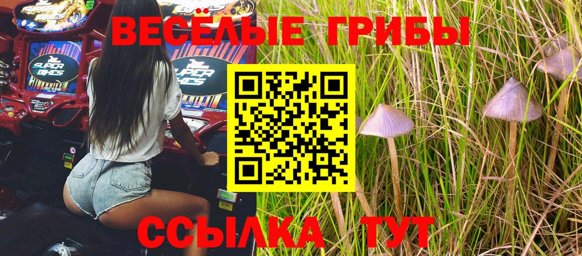 Татарск  Псилоцибиновые грибы мицелий  Галлюциногенные грибы Psilocybe  Вход с VPN 